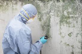 Best Comprehensive Air Testing for Mold Contaminants  in USA